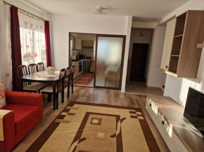Casă și curte confortabilă Braşov